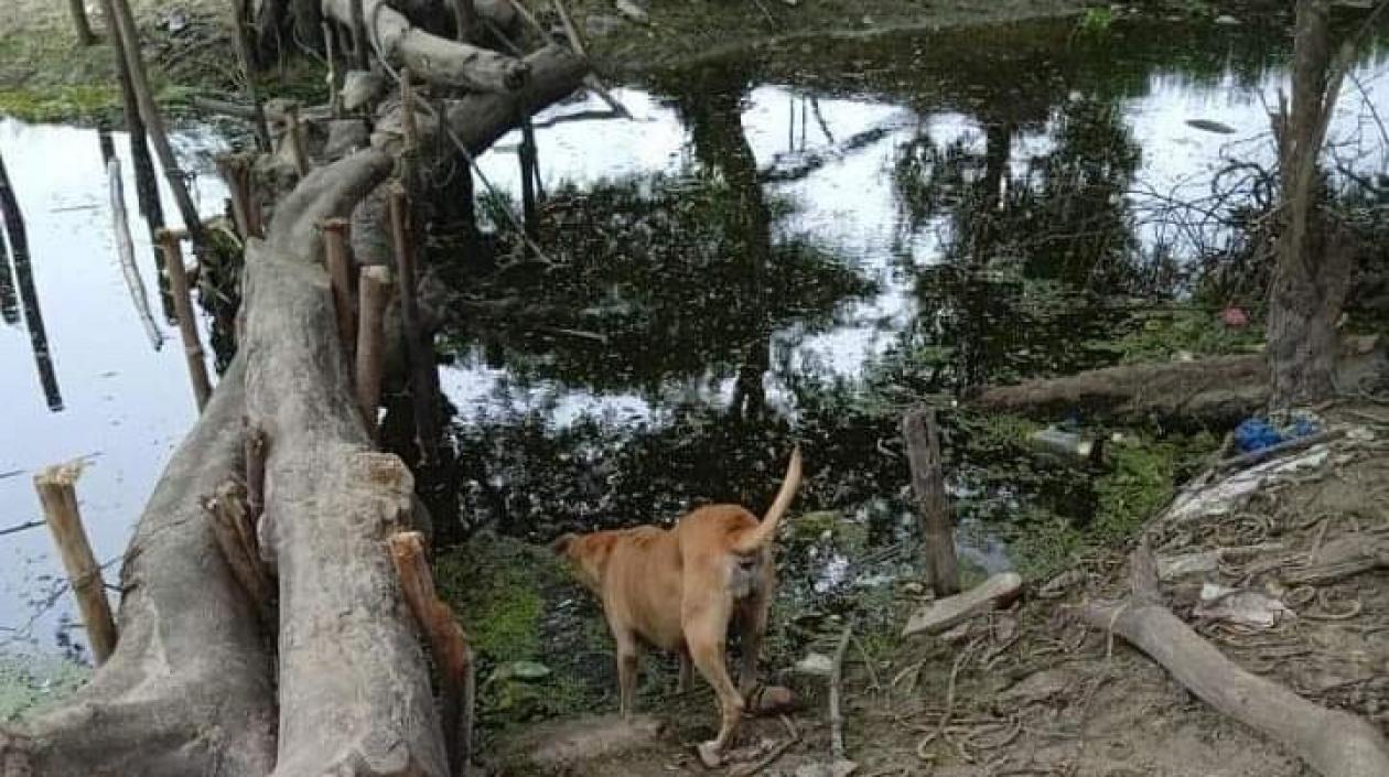 Lugar donde fue encontrada la niña.