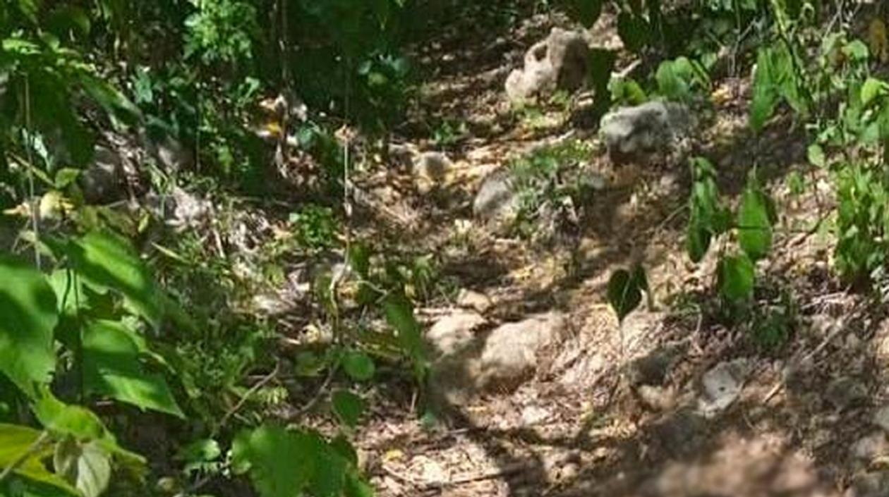 Zona donde fue encontrado el cuerpo del hombre. 