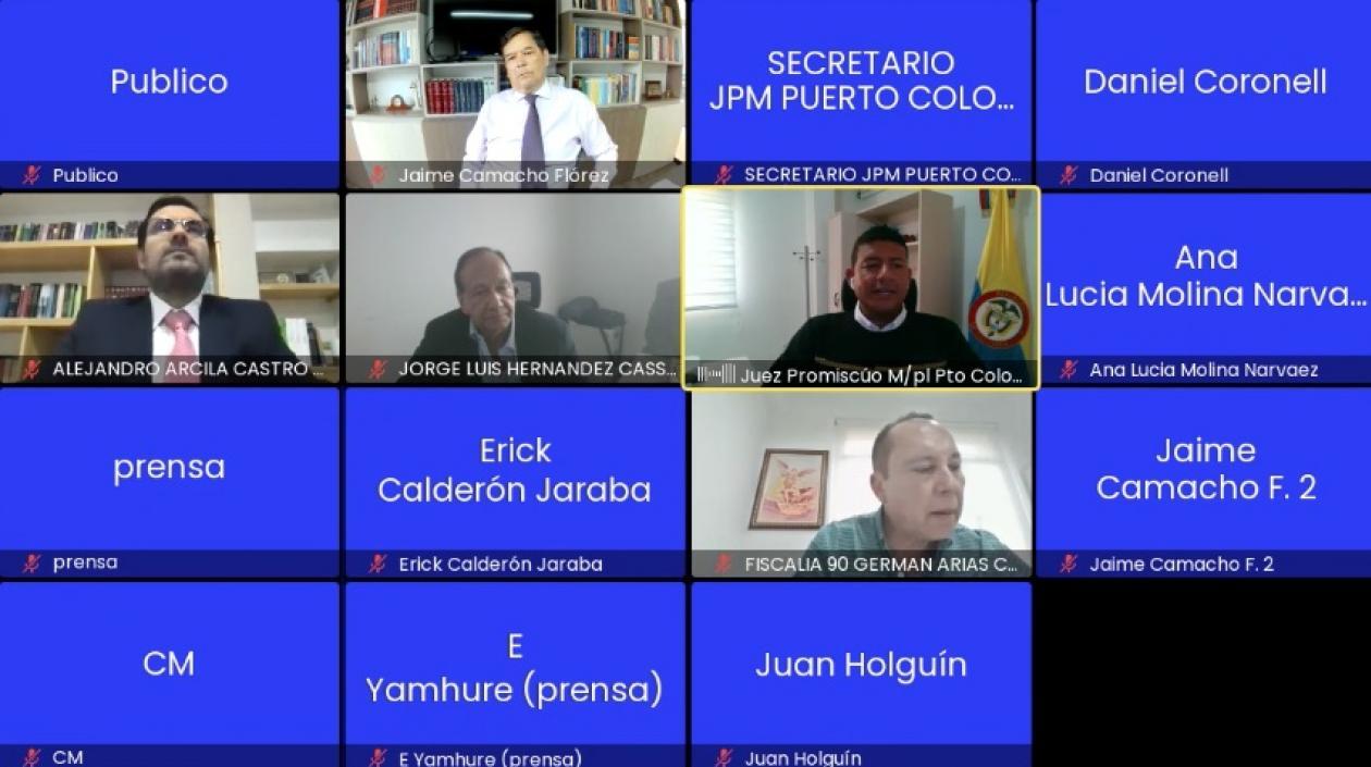 Audiencia virtual de legalización de captura.
