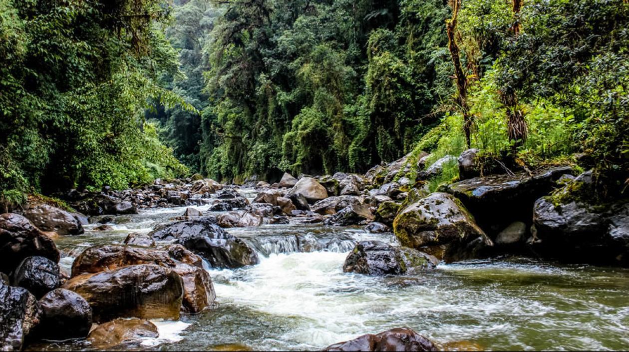 Las acciones de mitigación y adaptación serán realizadas por diferentes entidades.