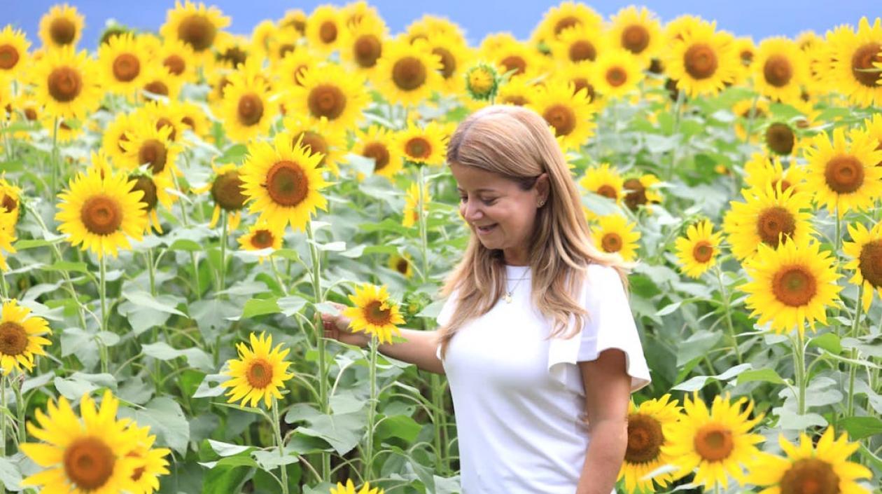 La Gobernadora Elsa Noguera en uno de los campos amarillos.
