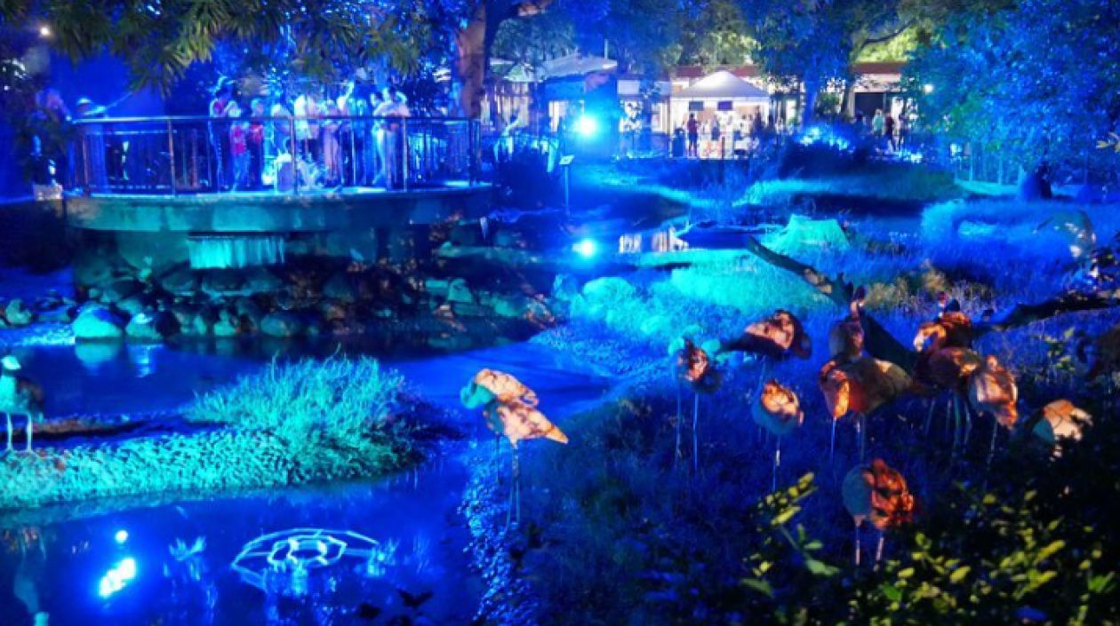 Safari nocturno en el Zoológico de Barranquilla.