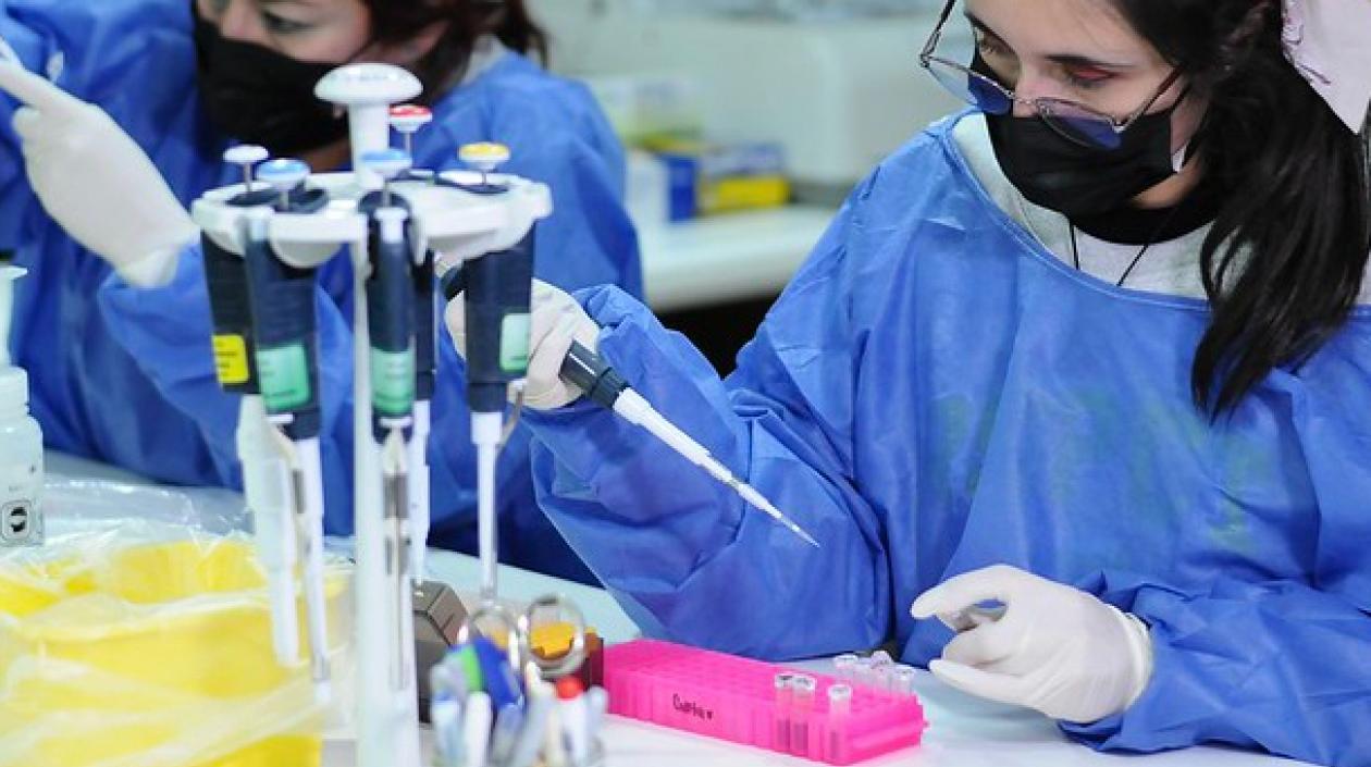 Análisis de pruebas.