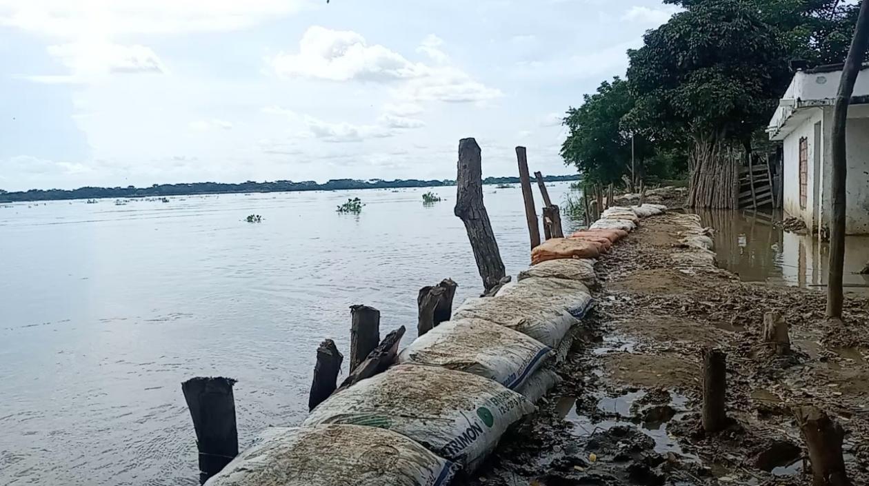 Ganaderos de la Costa lanzan SOS al Gobierno por inundaciones