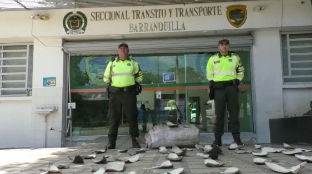 Seccional de Tránsito y Transportes. 