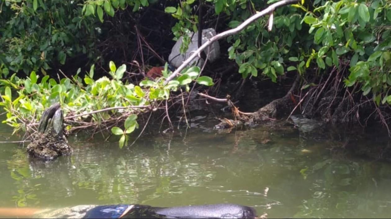 Lugar donde fue hallado el cuerpo flotando boca abajo. 
