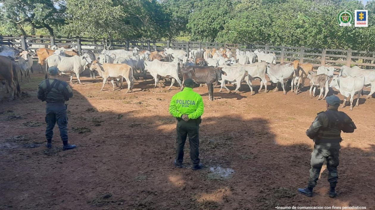 Bienes de Néstor Tarazona