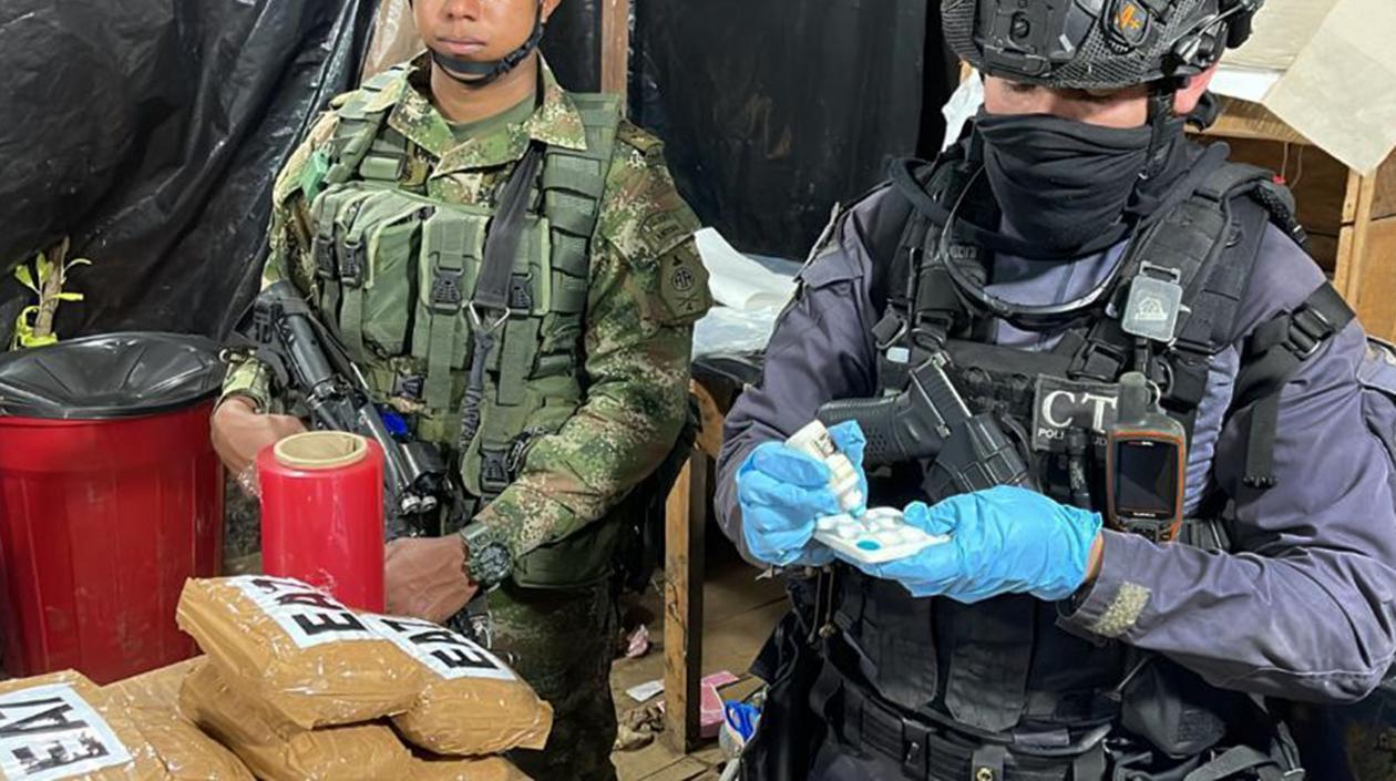 Imagen de referencia.