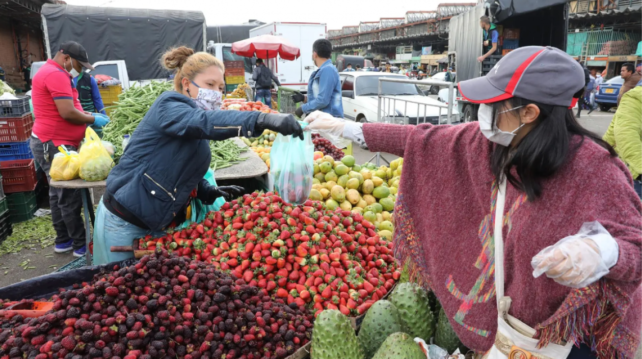 Imagen de referencia.