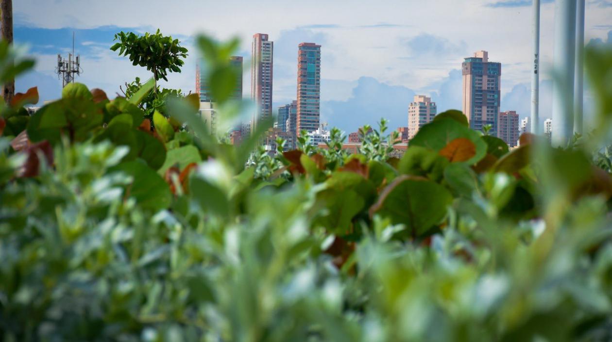 La ciudad de Barranquilla incluida dentro de las políticas del cambio climático en el país.
