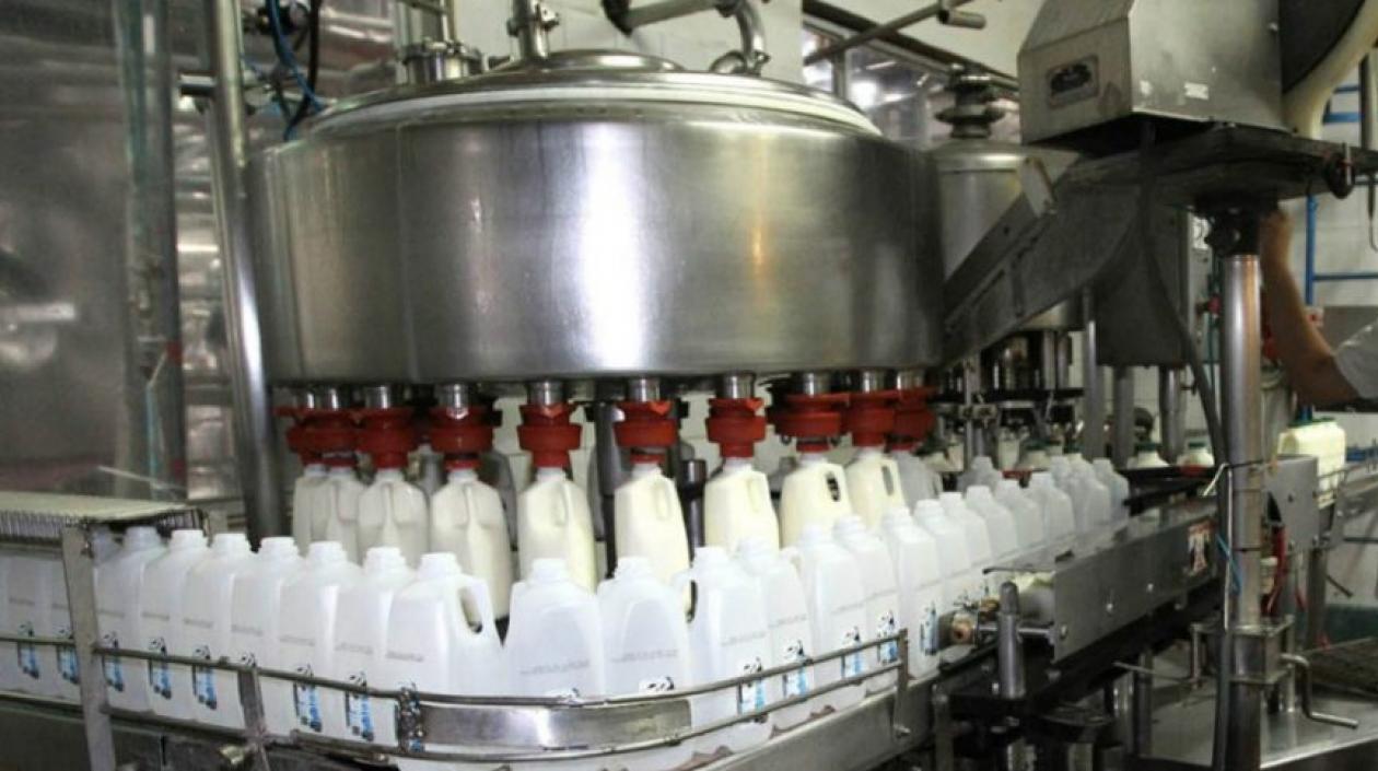 Imagen de referencia.