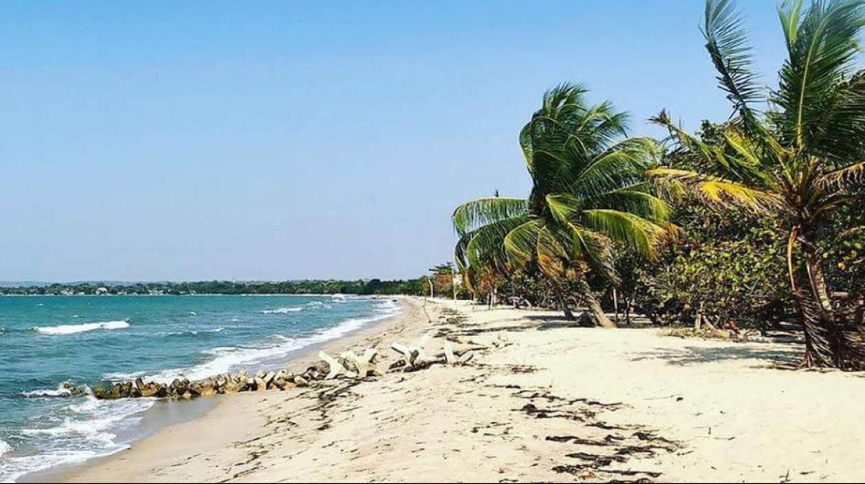 Imagen de referencia.