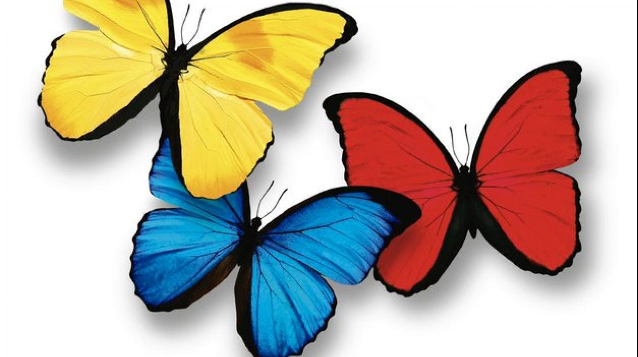 Imagen de la posesión presidencial.