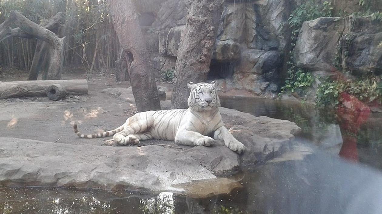 Zoológico de Barranquilla. Imagen de referencia.