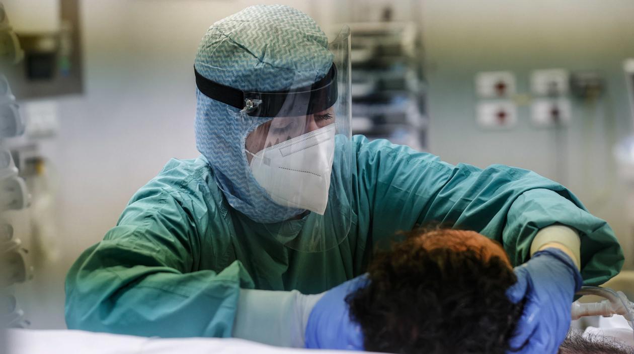 Imagen de referencia.