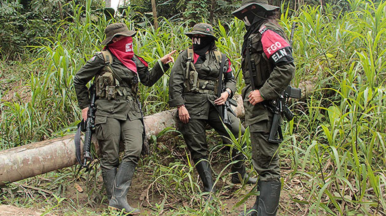 Imagen de referencia.