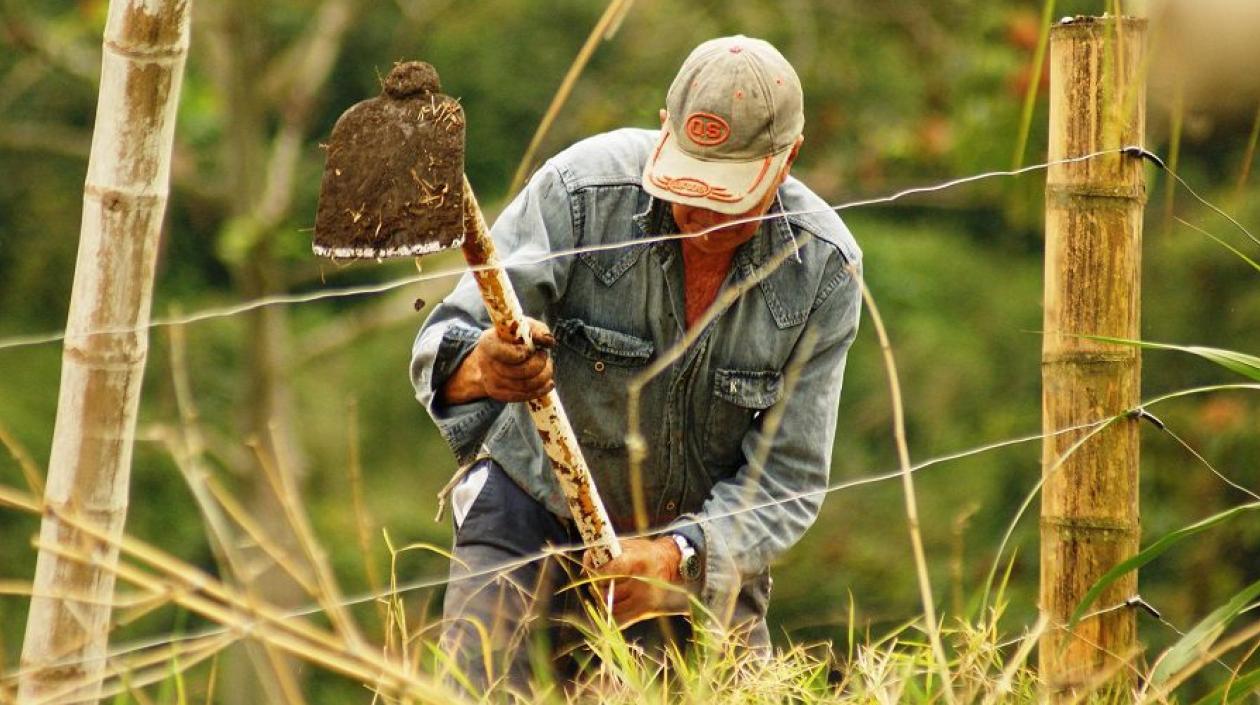 El fallo dejó sin seguridad jurídica los títulos de posesión o pertenencia de terrenos baldíos o predios rurales reconocidos por jueces de la República.
