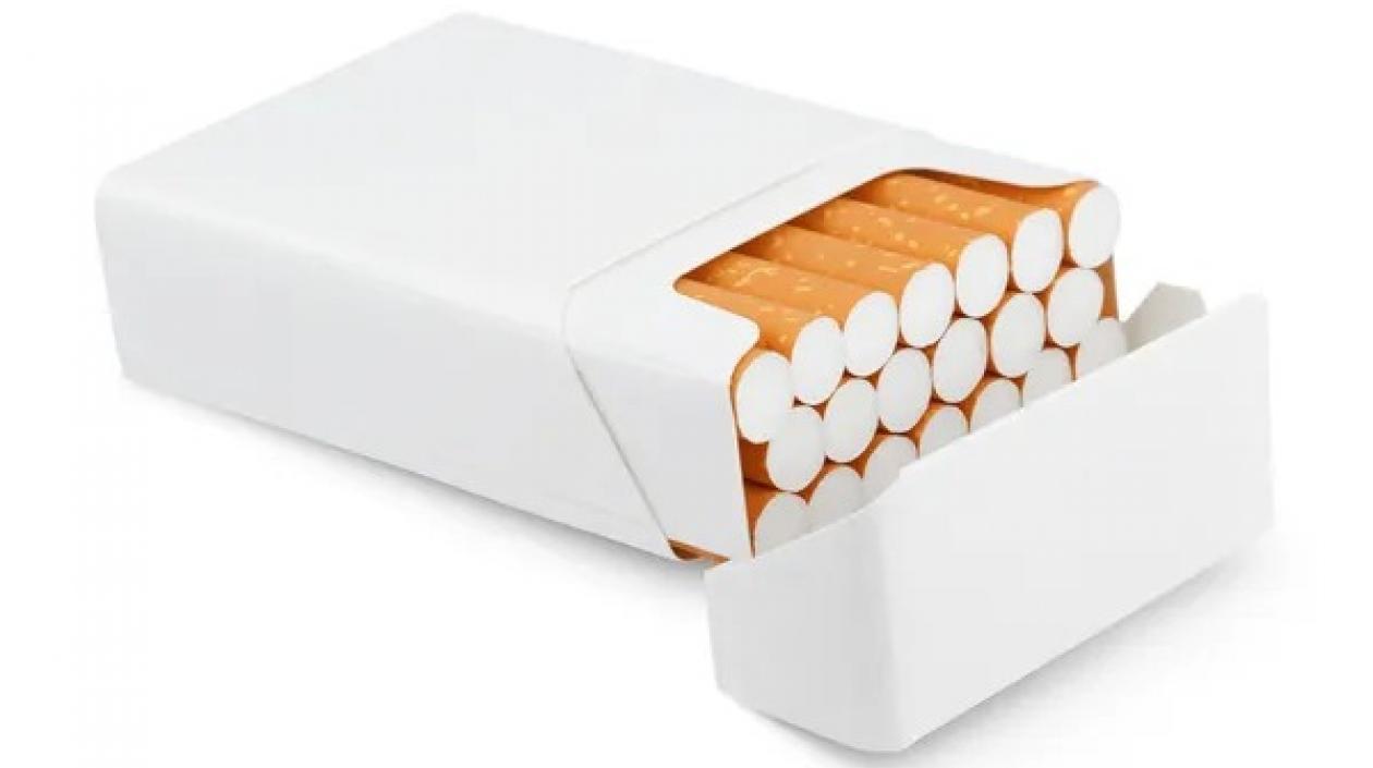 Imagen de referencia.