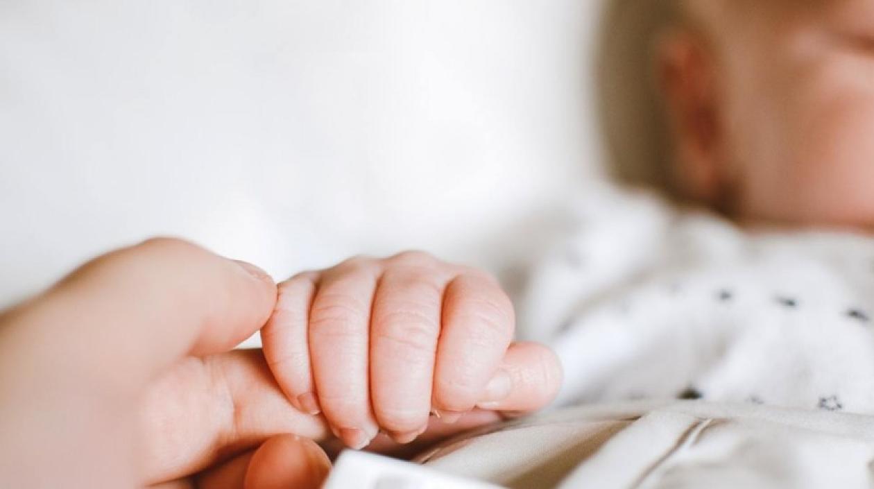 Imagen de referencia.