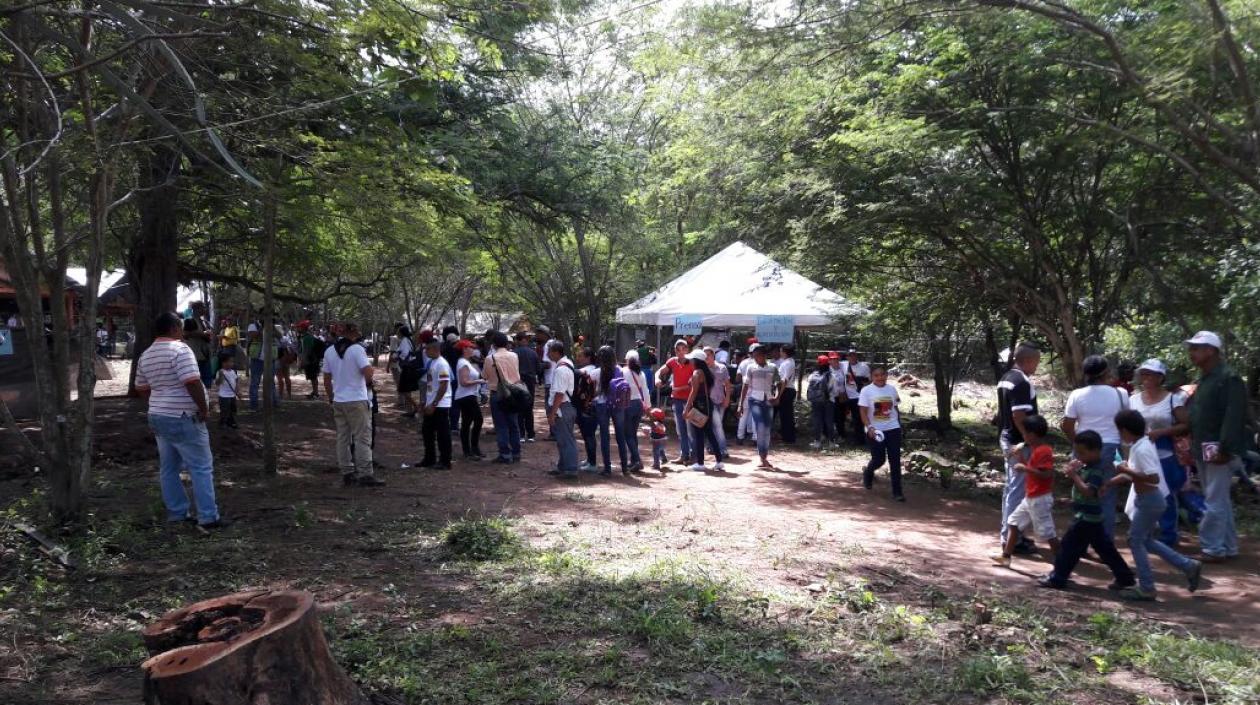 Campamentos por la paz