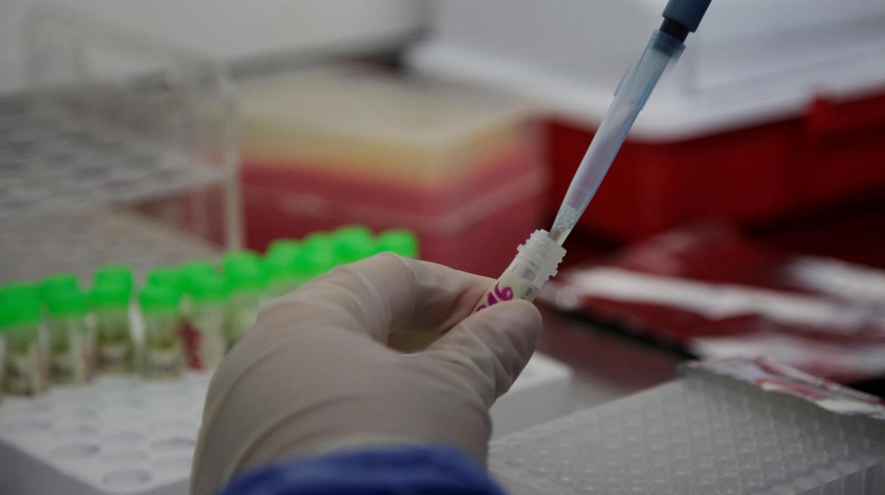 El tratamiento será de 14 días para 500 pacientes que participan en el ensayo.