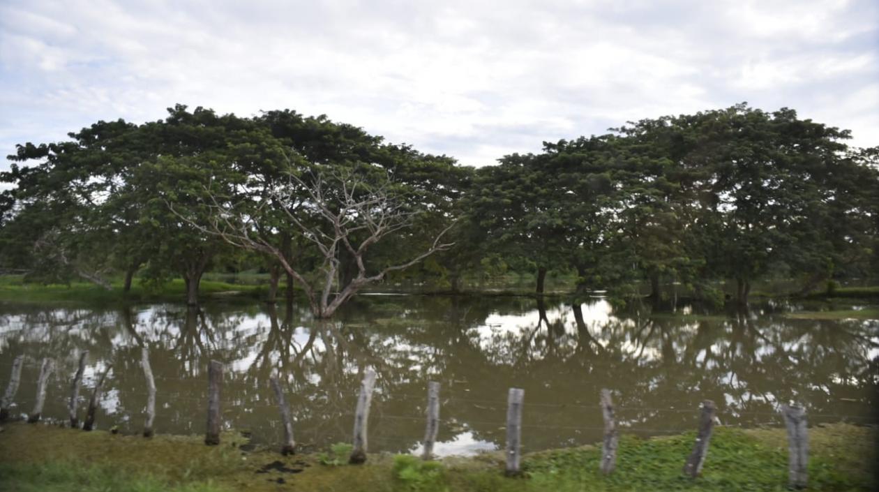 Las zonas aledañas al Canal del Dique están inundadas.