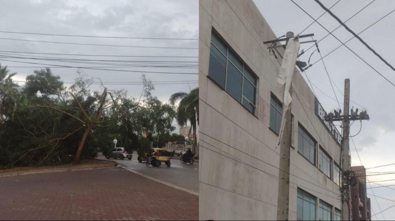 Árbol caído y afectación en el servicio de energía en Miramar. 