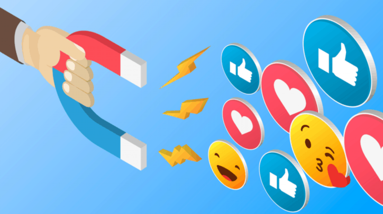 Imagen de referencia.