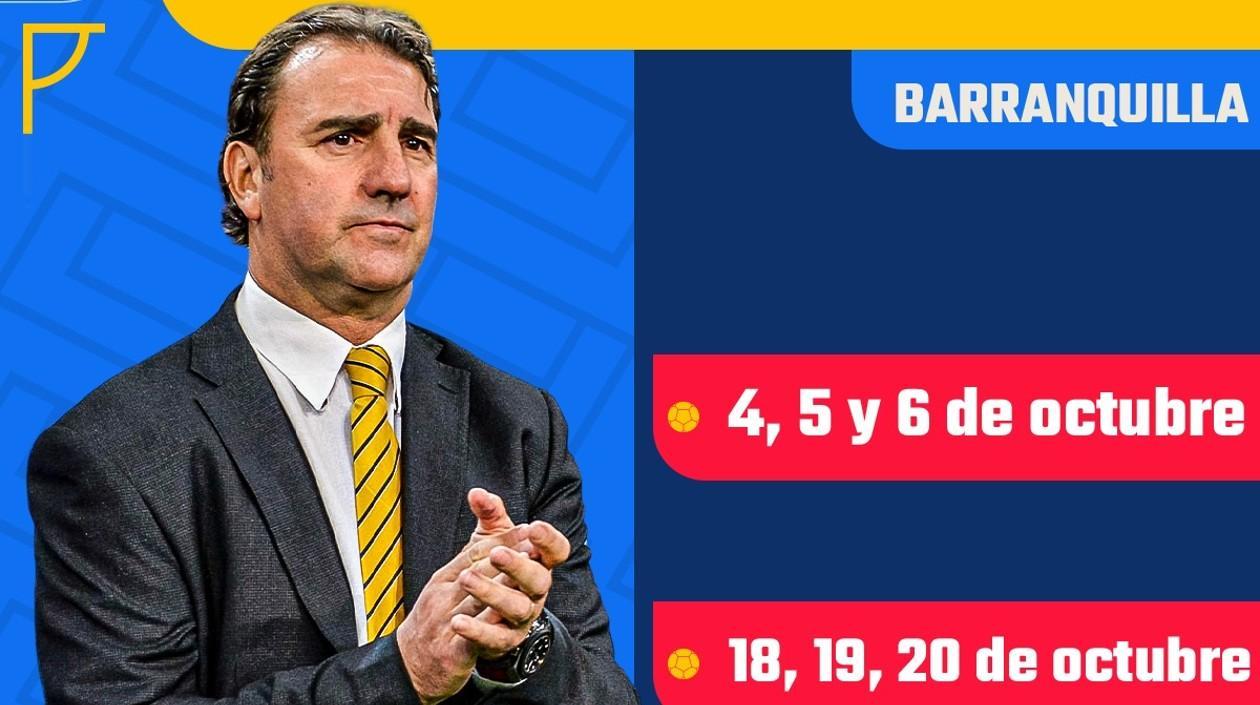 Néstor Lorenzo, entrenador de Colombia. 