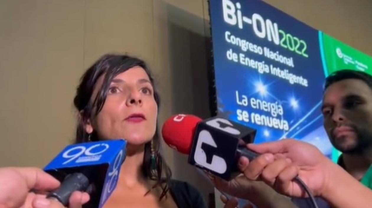 Irina Vélez, Ministra de Minas