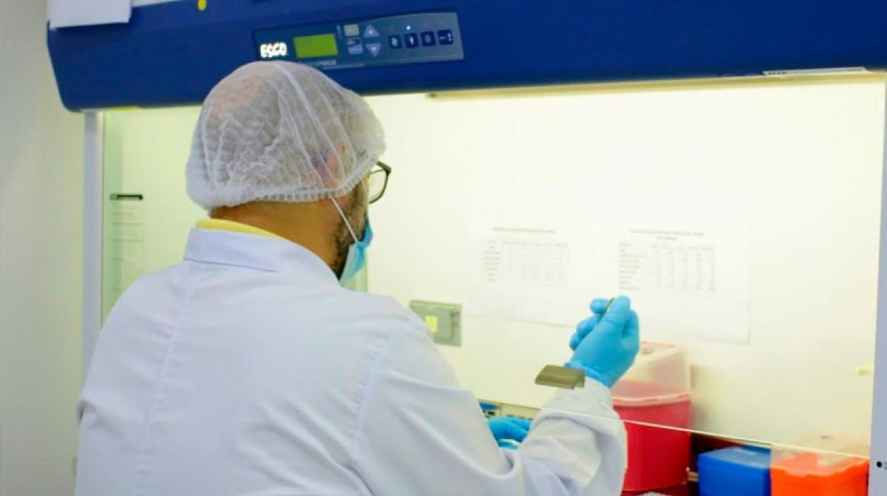 Imagen de referencia.