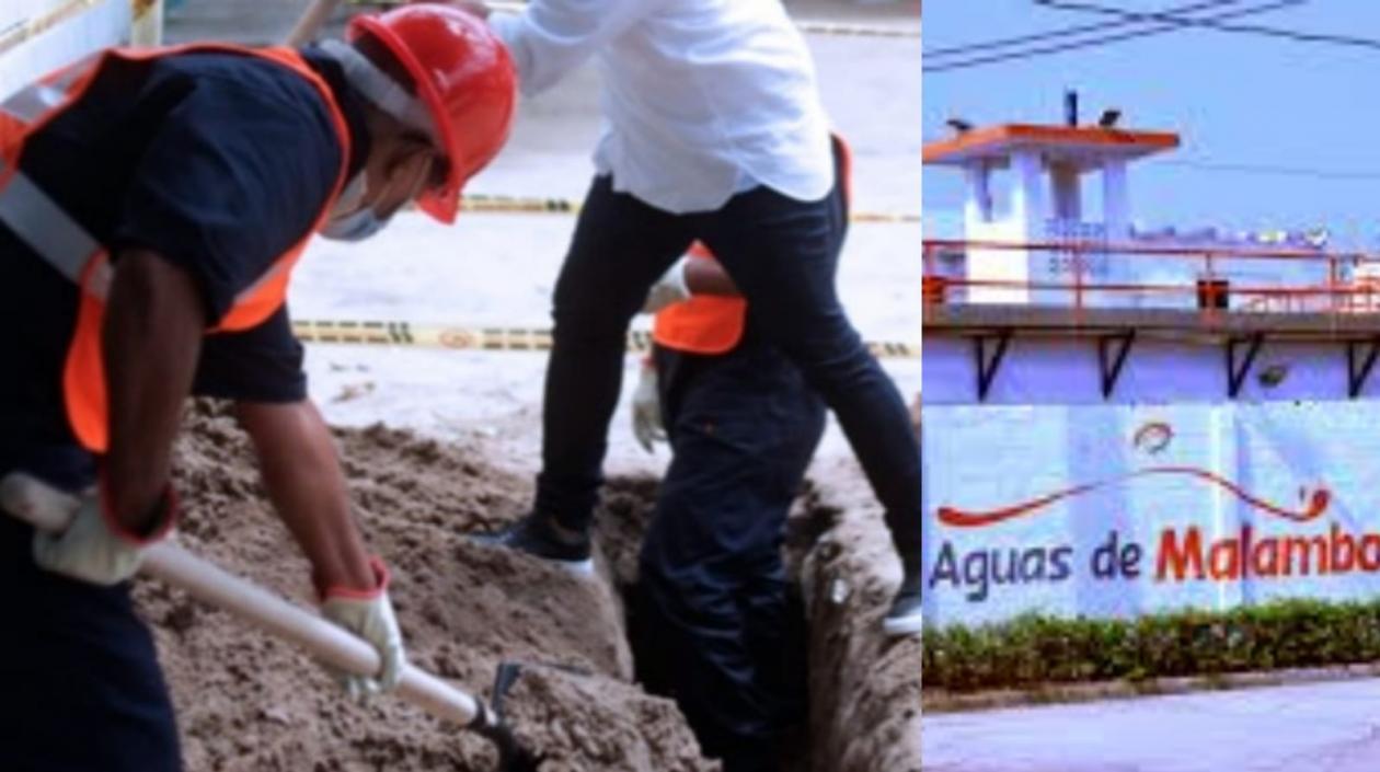 Imagen de referencia.