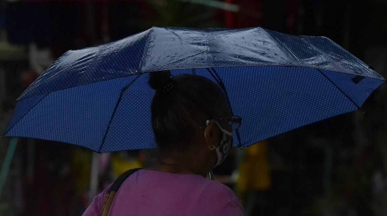 Imagen de referencia.