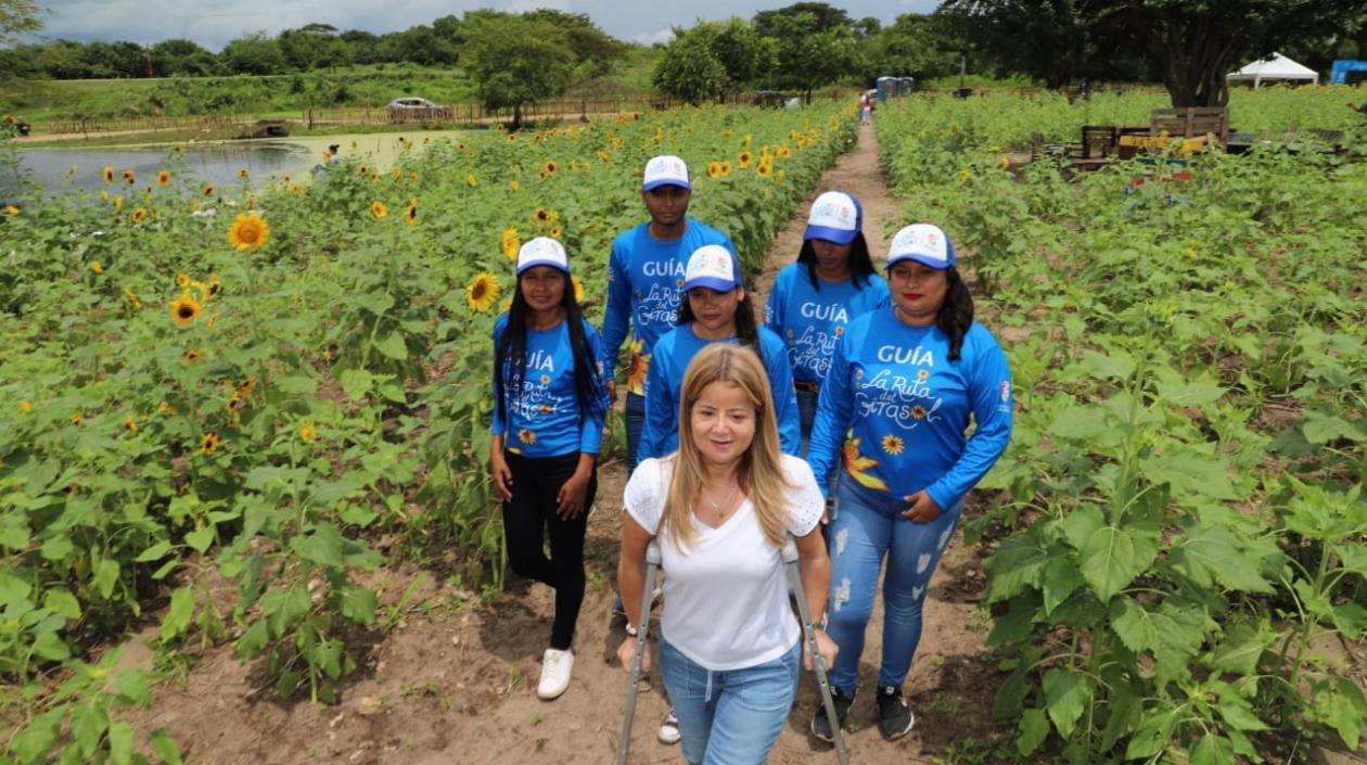 La gobernadora Elsa Noguera inauguró una nueva Ruta del Girasol. Esta vez fue en Santo Tomás.