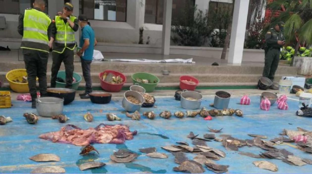 La Policía mostró parte de la carne de tortuga incautada.