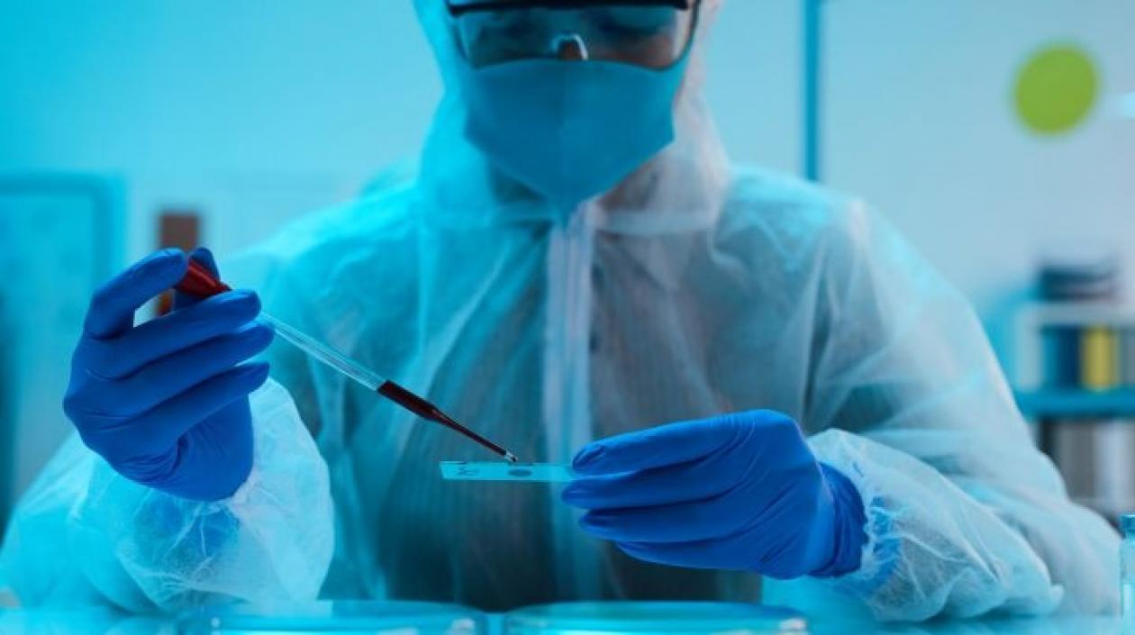 Imagen de referencia.