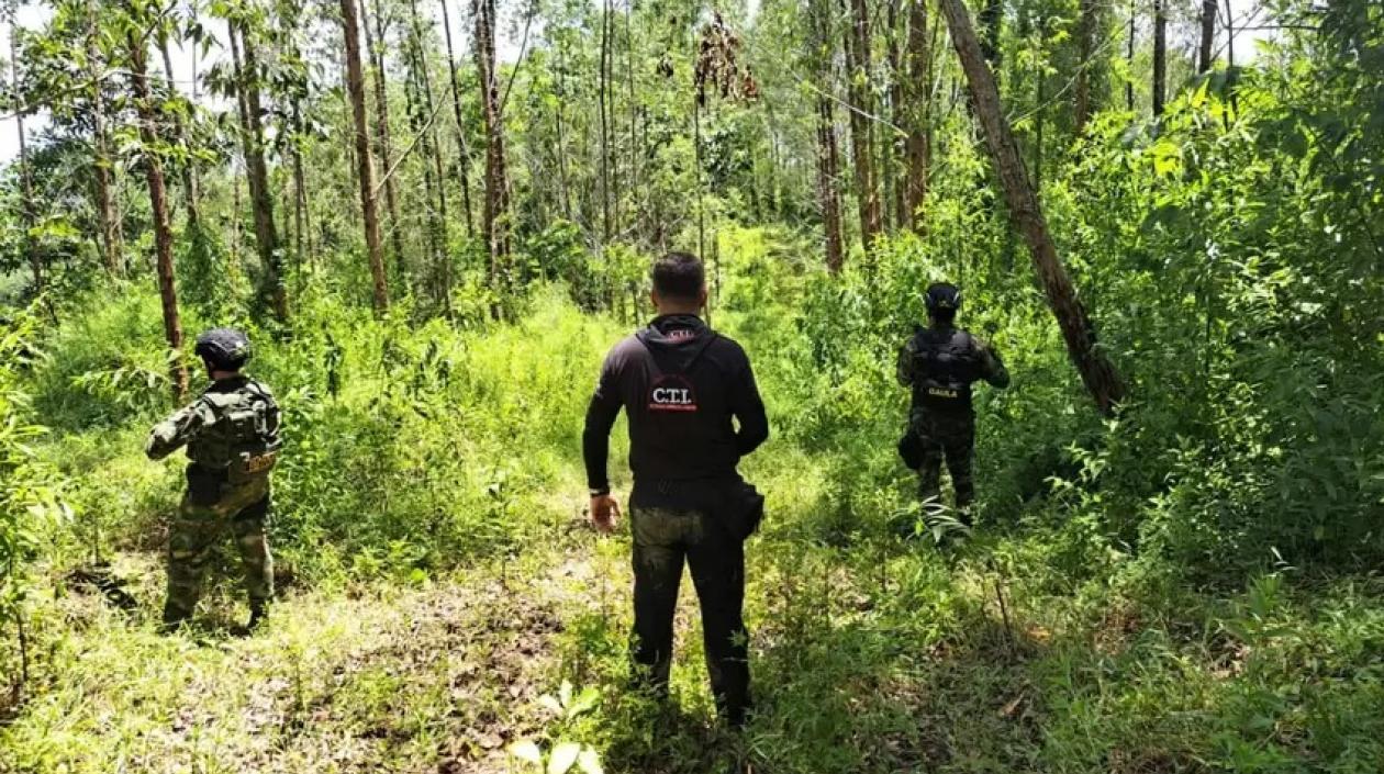 Predio ocupado para la extinción de dominio.