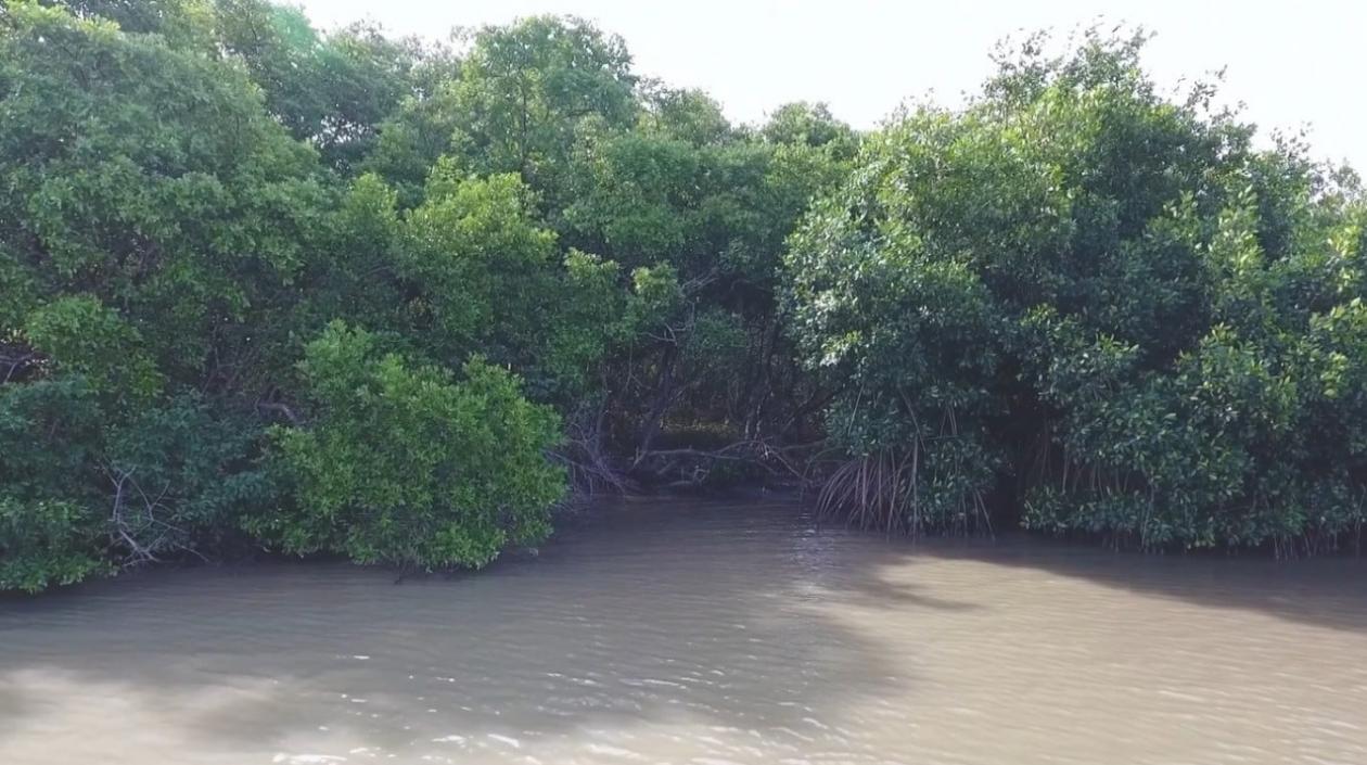Ciénaga de Mallorquín.