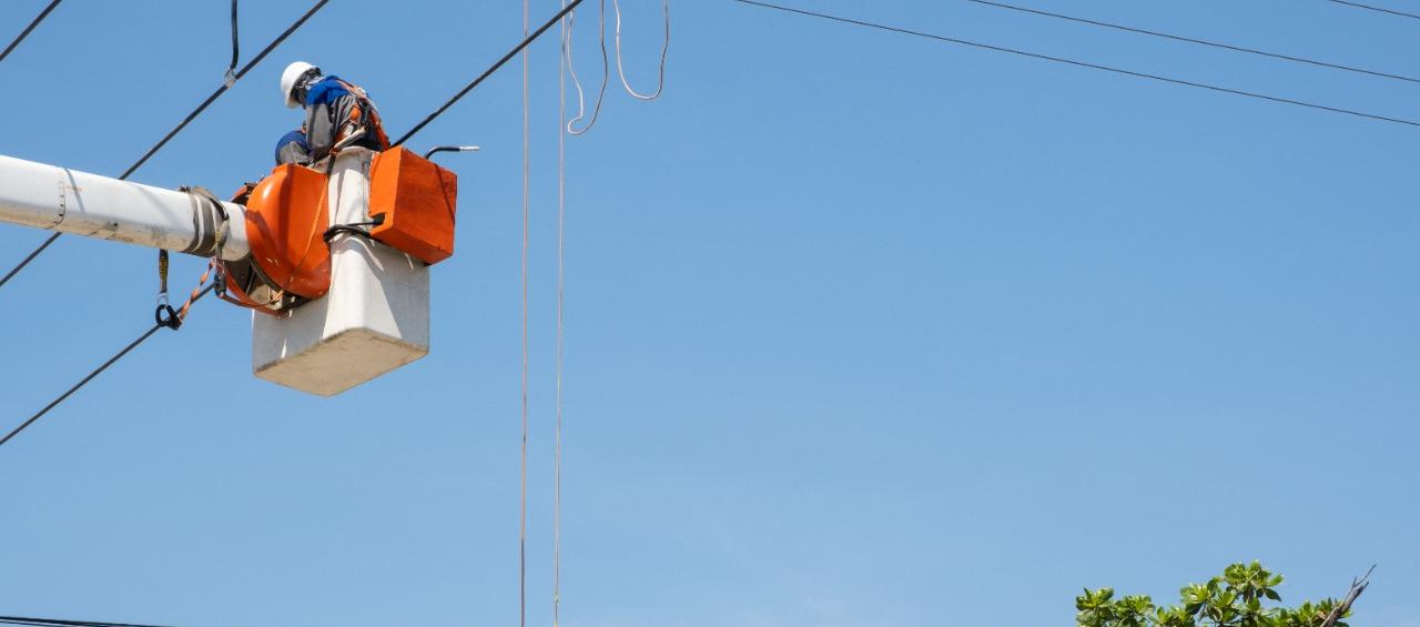 Imagen de referencia.