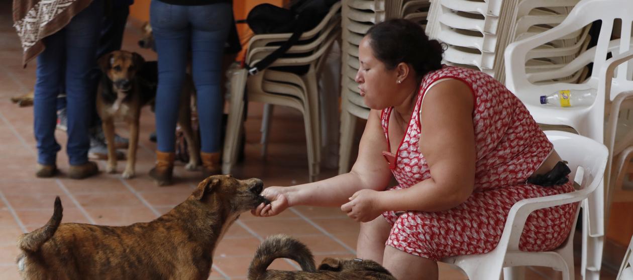 Ana Cristina Martínez juega con sus perros.