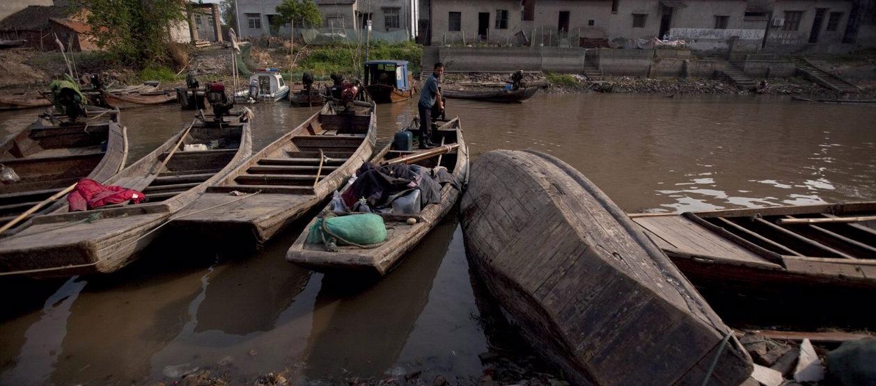 Imagen de referencia.