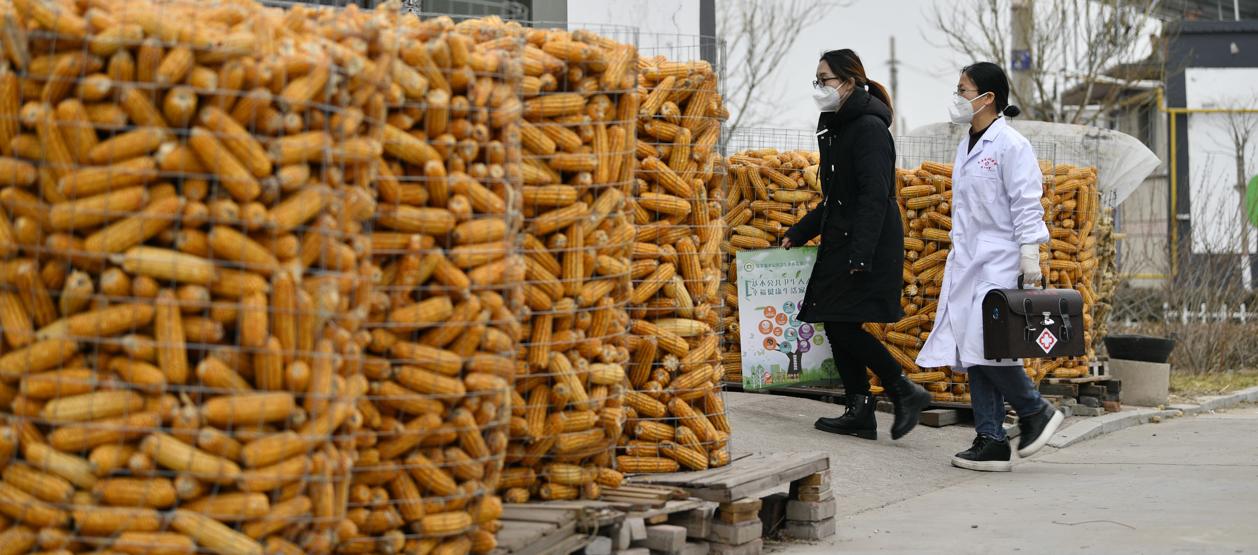 Imagen de referencia.