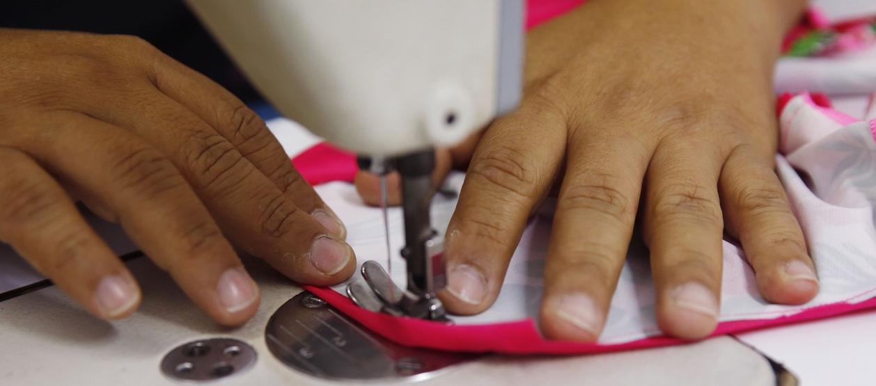 Imagen de referencia.