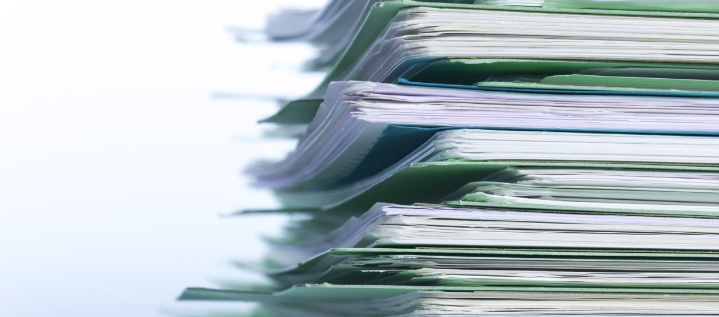 Imagen de referencia.