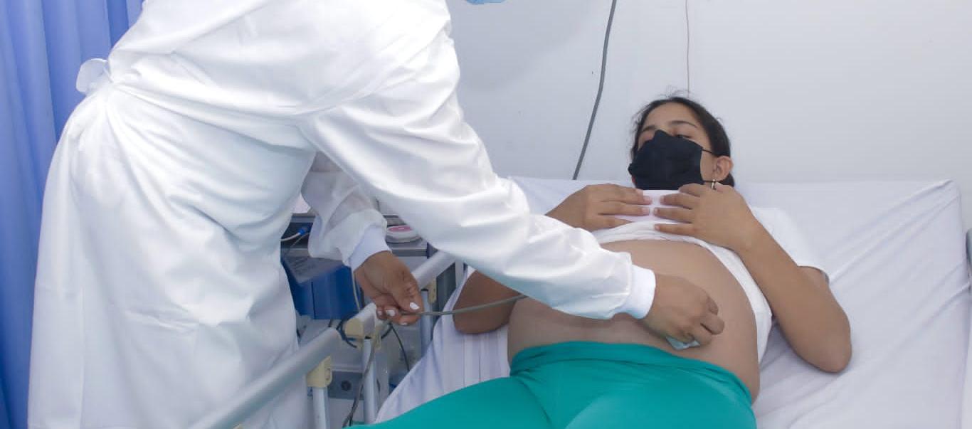 Imagen de referencia.