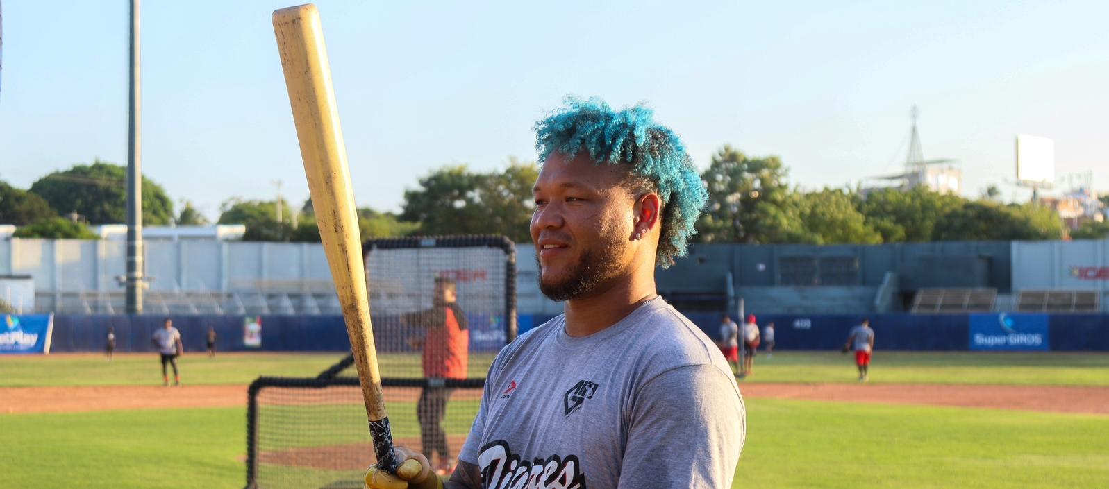 El bigleaguer Harold Ramírez reforzará a Tigres en la final.