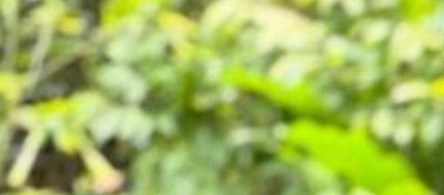 El periodista Jorge Cura en un programa de Sucesos. 