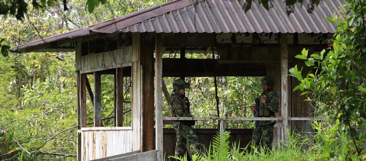 Imagen de referencia. 