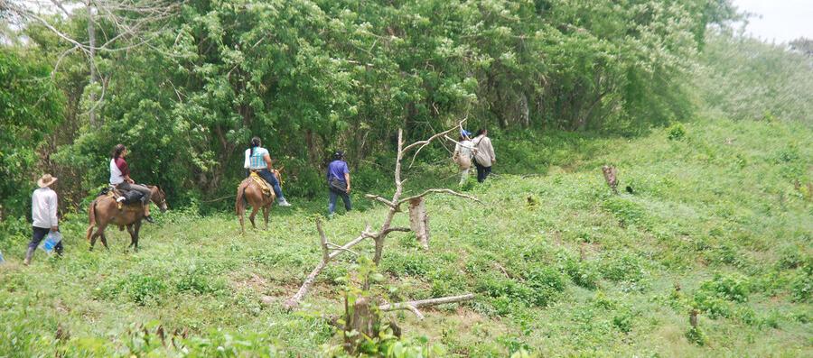 Imagen de referencia.