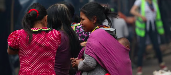 Imagen de referencia.